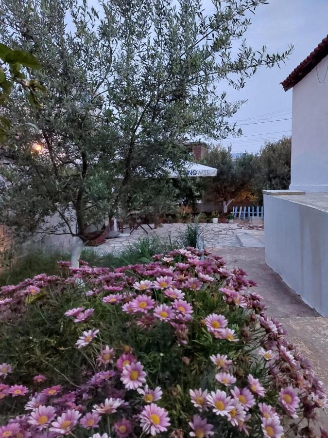 Vila Rafael Ksamil Buitenkant foto