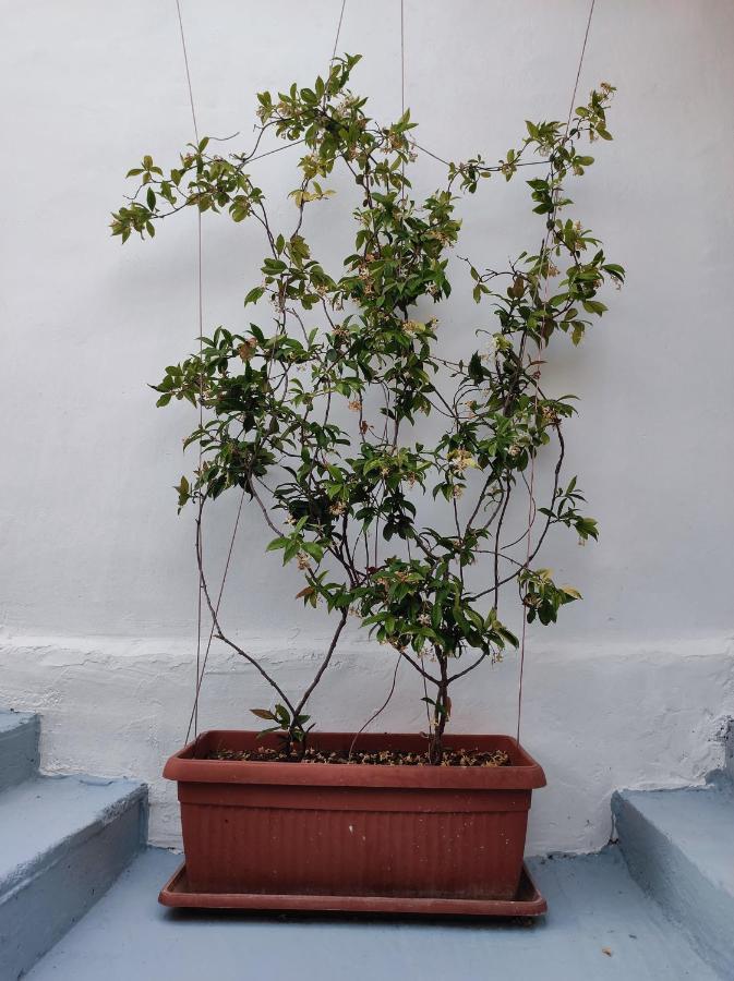 Vila Rafael Ksamil Buitenkant foto
